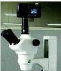 解剖显微镜数码相机成像