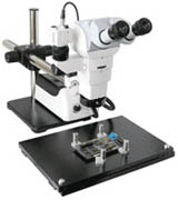 2003S平行光路体视显微镜