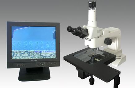 GOL-10X微分干涉显微镜