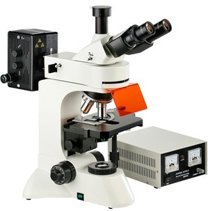 3002免疫荧光显微镜